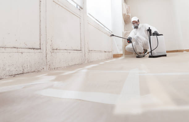 24/7 Emergency Attic Mold Remediation experts in Mercersburg, PA