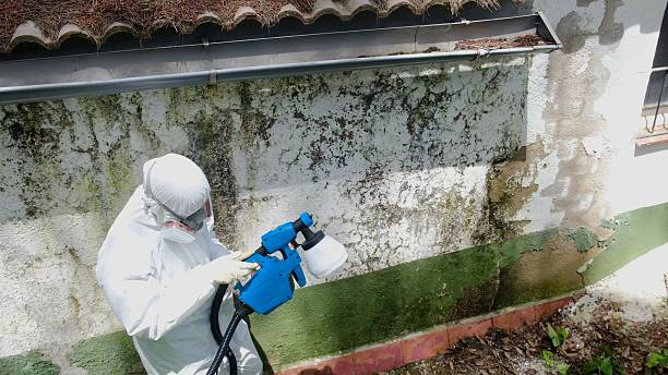 Top rated local Attic Mold Remediation specialists in Mercersburg, PA